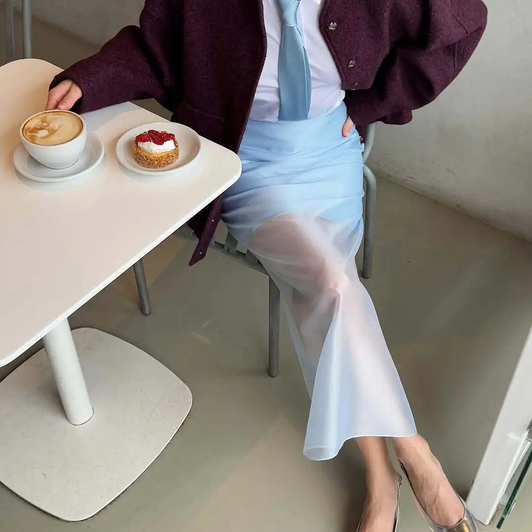 Tsiisd Fashion See-Through High Waist Long Skirt Female Commute Slim Casual Solid Y2k Skirt Summer Women's Mesh Maxi Skirt 2026